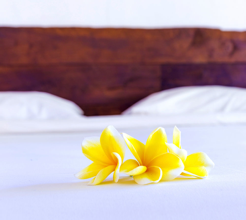 Big Brother Surf Inn Canggu  Bagian luar foto