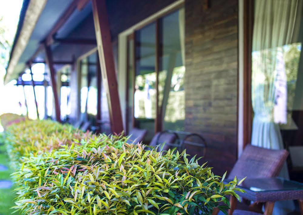 Big Brother Surf Inn Canggu  Bagian luar foto