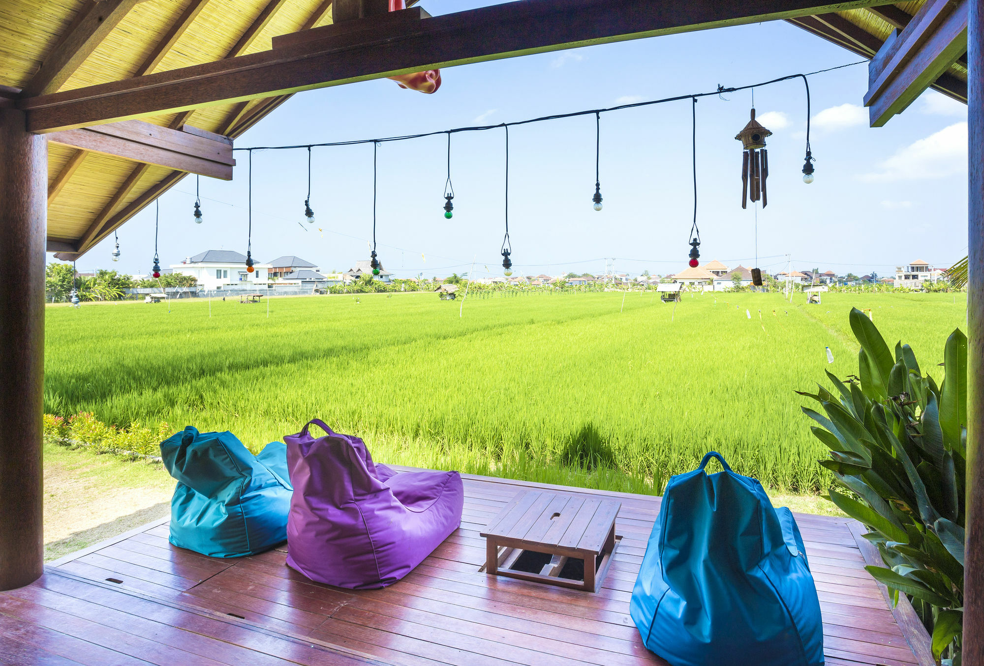 Big Brother Surf Inn Canggu  Bagian luar foto