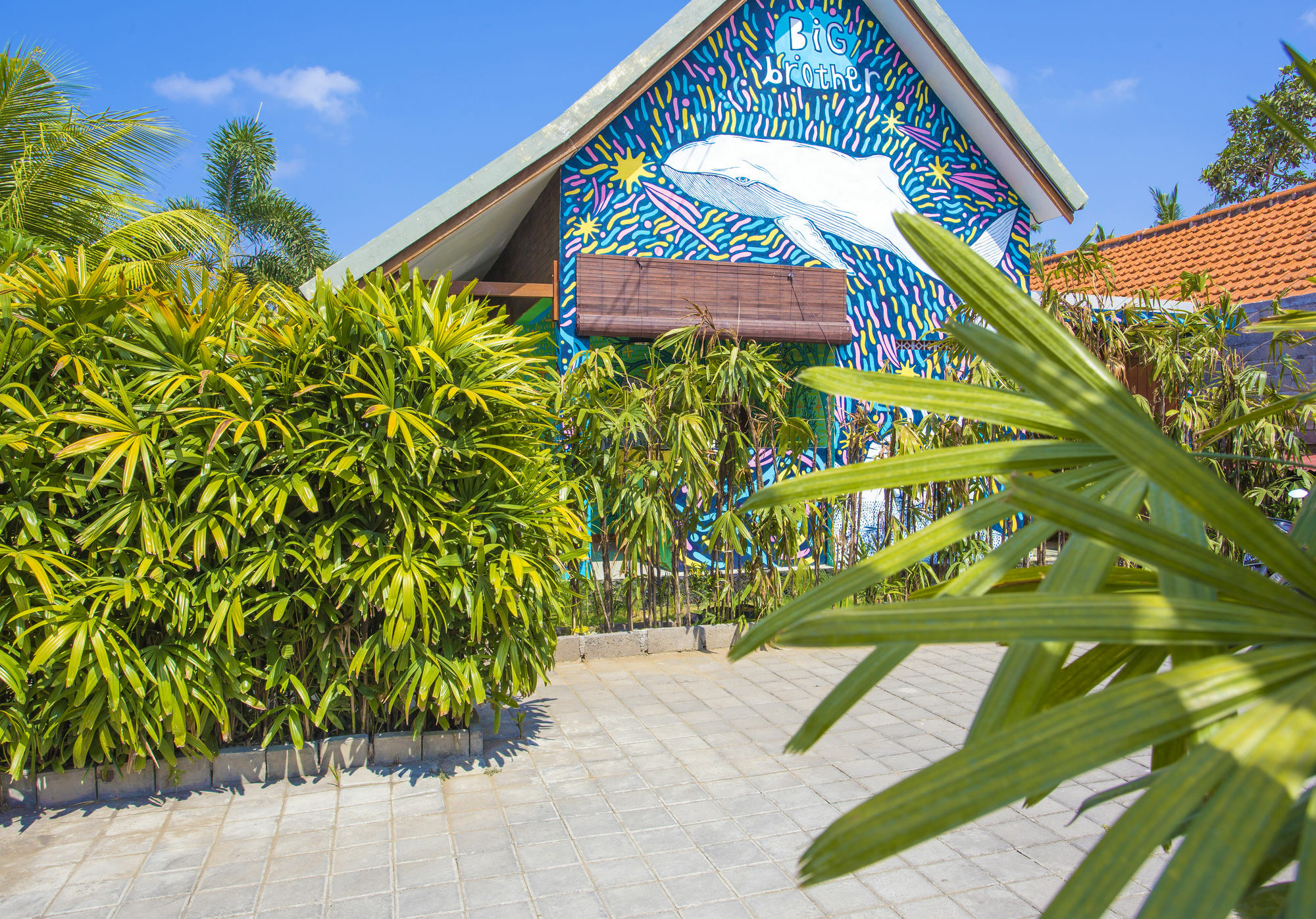 Big Brother Surf Inn Canggu  Bagian luar foto
